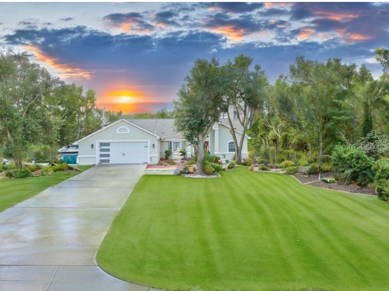 10314 Dotted Wren Avenue Weeki Wachee FL 34613 U8215894 image1