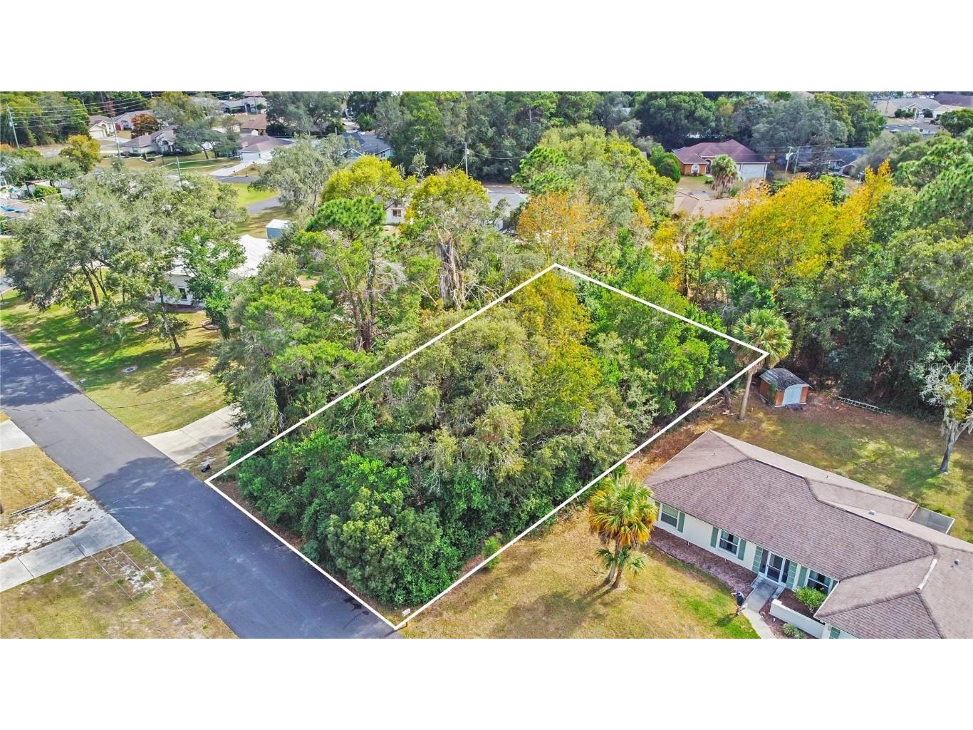 10314 Elnora Street Spring Hill FL 34608 T3490850 image1