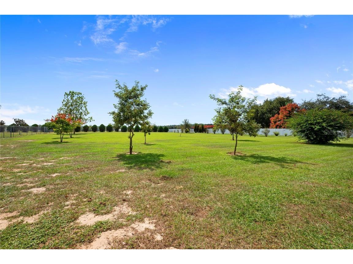 10314 Lamson Road Dade City FL 33525 TB8441139 image70