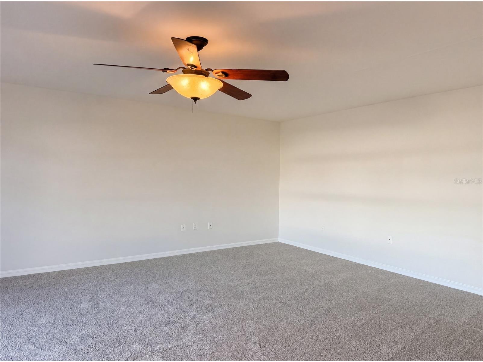 10315 Boyette Creek Boulevard Riverview FL 33569 O6399603 image19