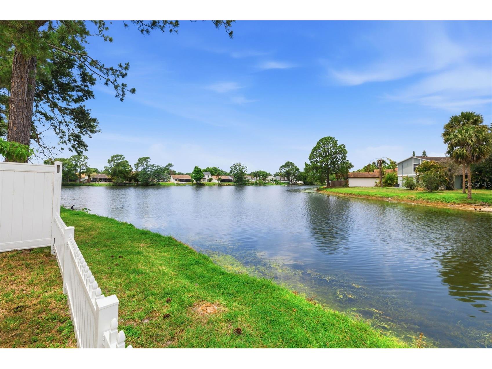 10315 Chadbourne Drive Tampa FL 33624 TB8507687 image26