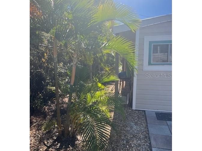 10315 Cortez Rd W #1B Bradenton FL 34210 - SARASOTA BAY A4673617 image20