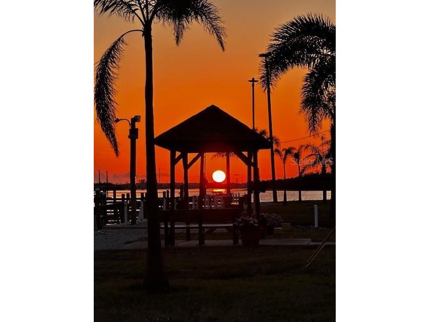 10315 Cortez Road W #12-3 Bradenton FL 34210 A4678410 image65