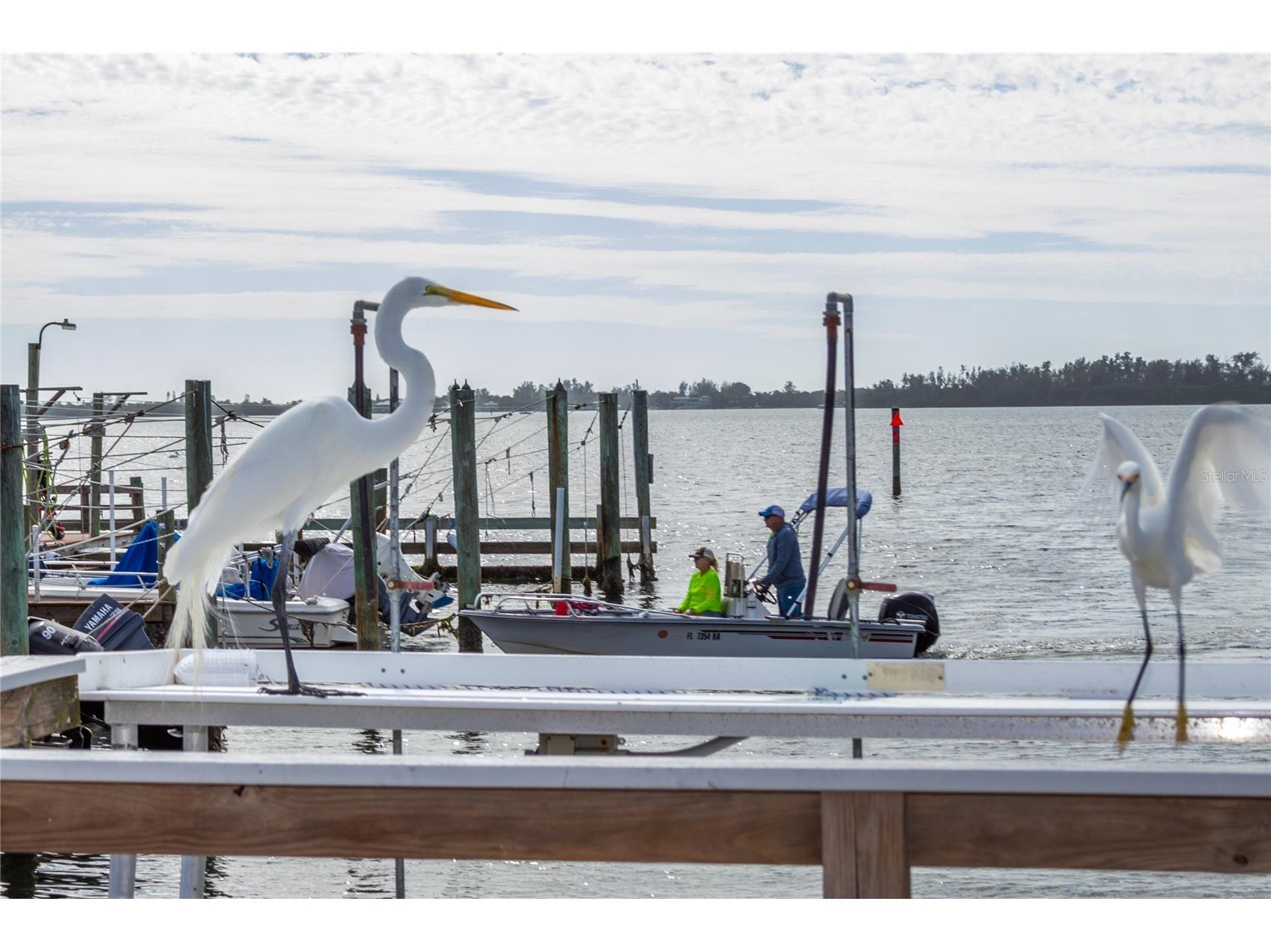 10315 Cortez Road W #2-4 Bradenton FL 34210 A4670972 image8