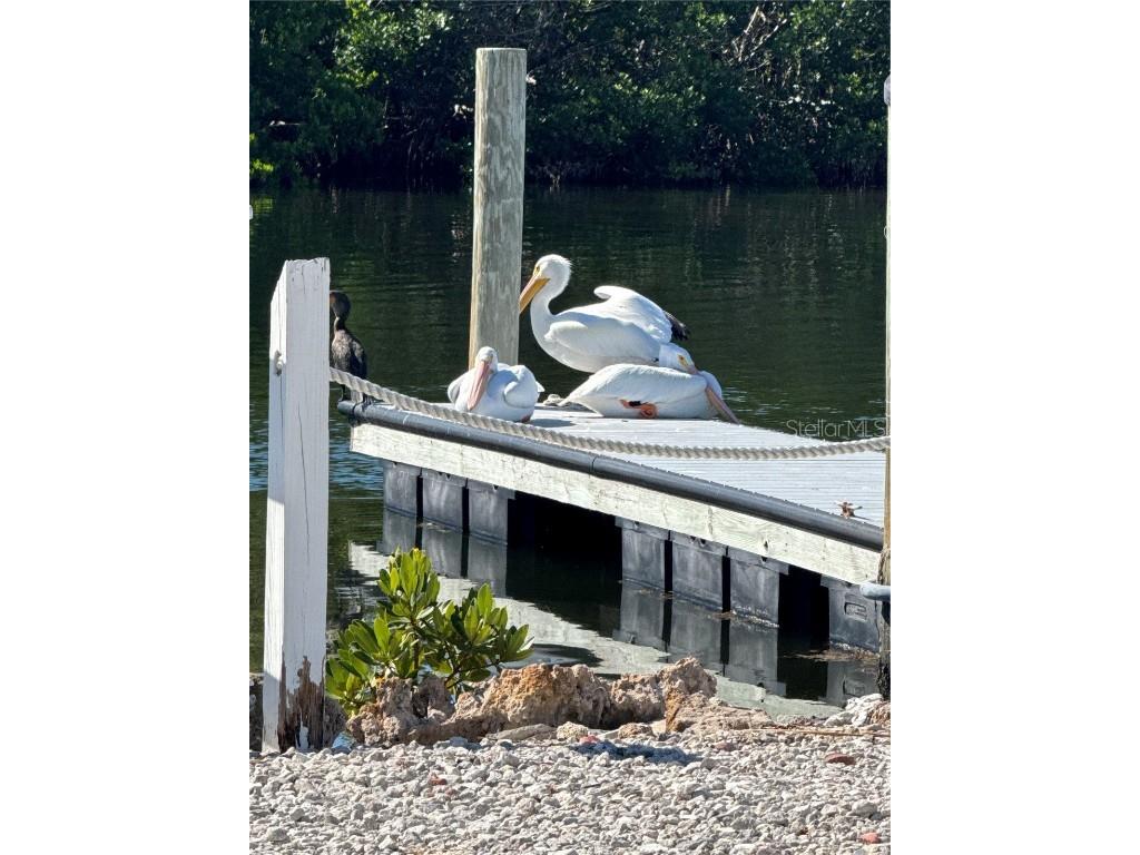 10315 Cortez Road W #30-2 Bradenton FL 34210 A4673014 image43