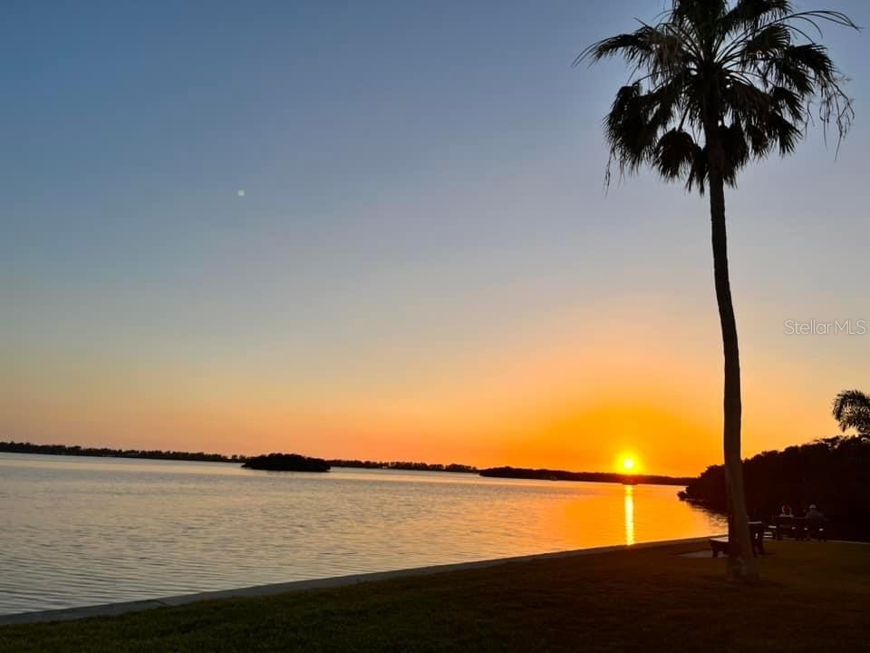 10315 Cortez Road W #6-1 Bradenton FL 34210 A4671820 image36