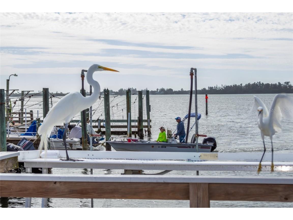 10315 Cortez Road W #71-4 Bradenton FL 34210 A4642270 image22