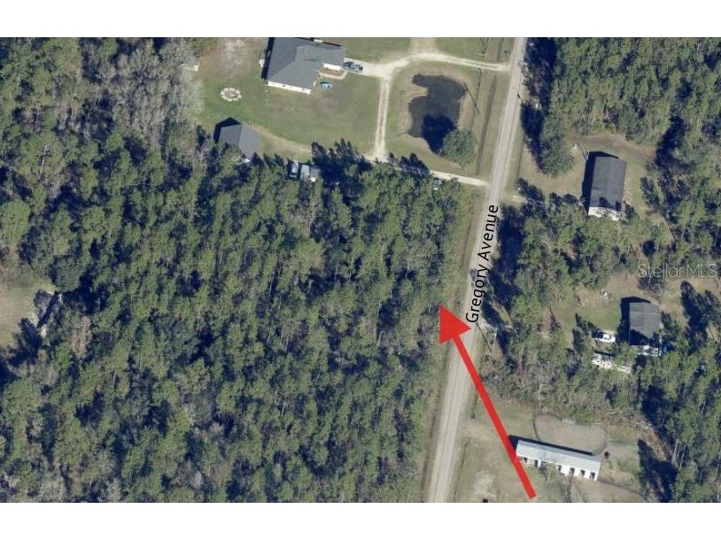 10315 Gregory Avenue Hastings FL 32145 O6410553 image17