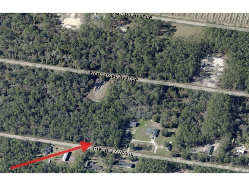 10315 Gregory Avenue Hastings FL 32145 O6410553 image18