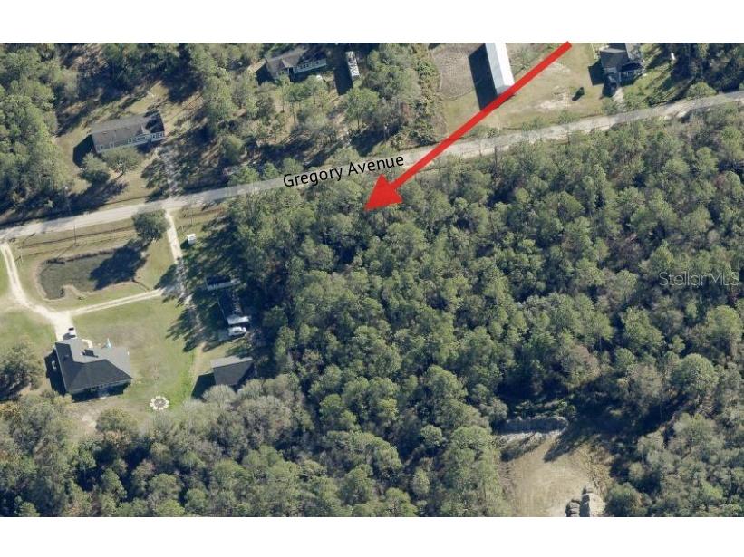 10315 Gregory Avenue Hastings FL 32145 O6410553 image19