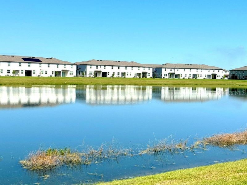 10315 Honey Hammock Way San Antonio FL 33576 TB8512054 image21