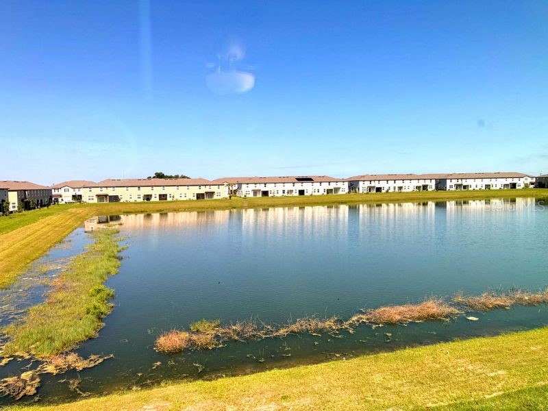 10315 Honey Hammock Way San Antonio FL 33576 TB8512054 image27
