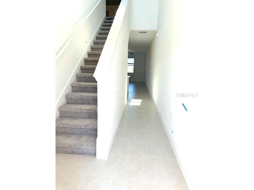 10315 Honey Hammock Way San Antonio FL 33576 TB8512054 image6