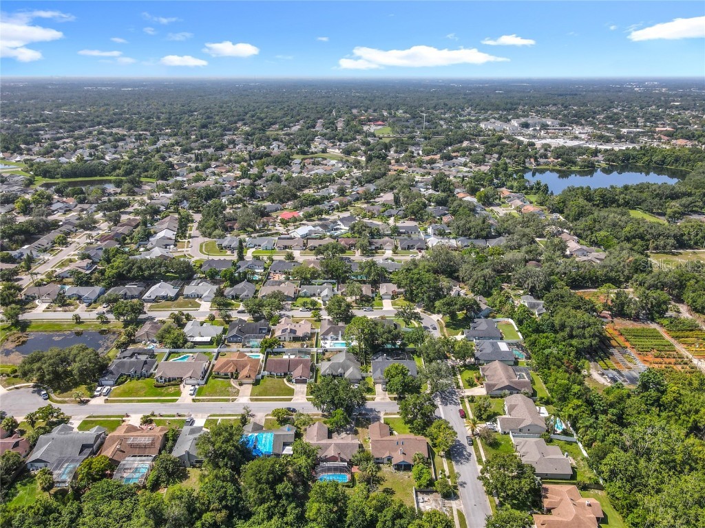 10315 Taraby Court Orlando FL 32817 O6330218 image44