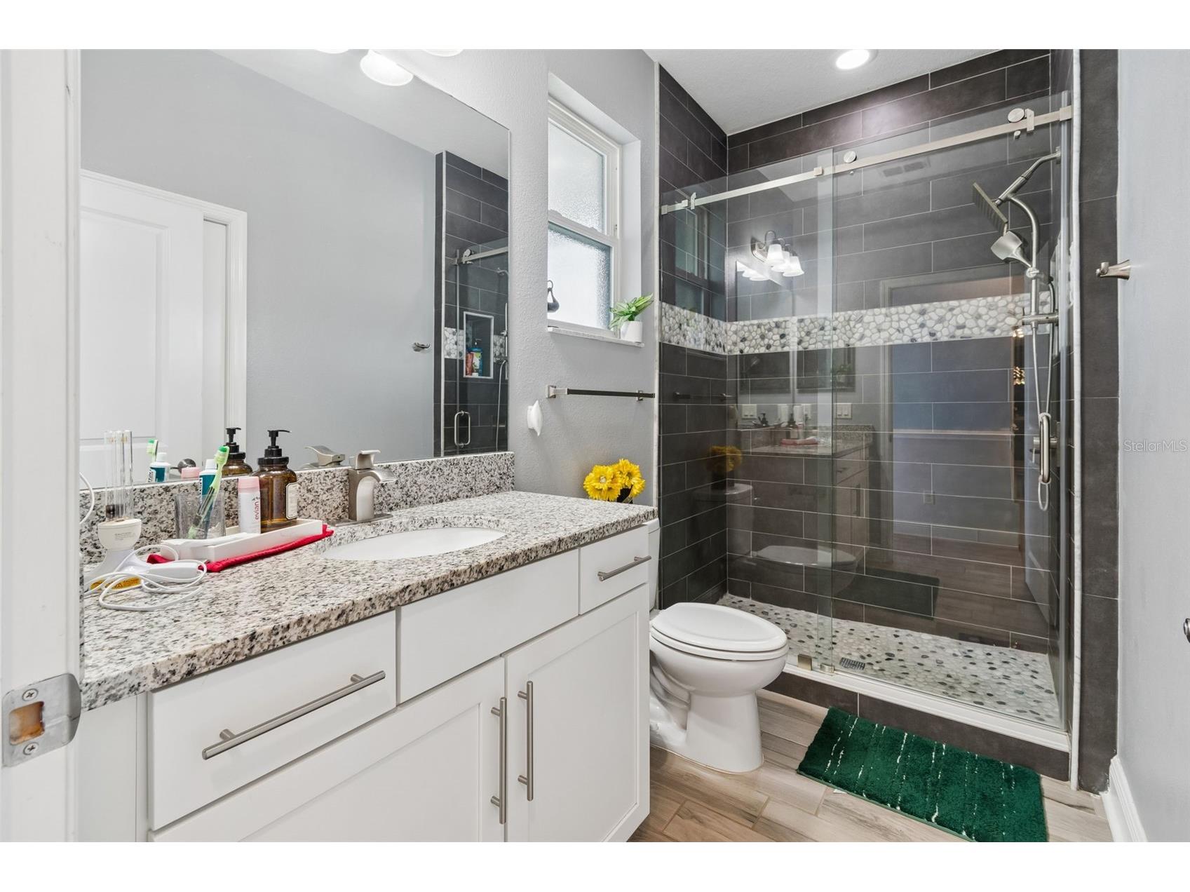 10316 Clover Pine Drive Tampa FL 33647 TB8494244 image32