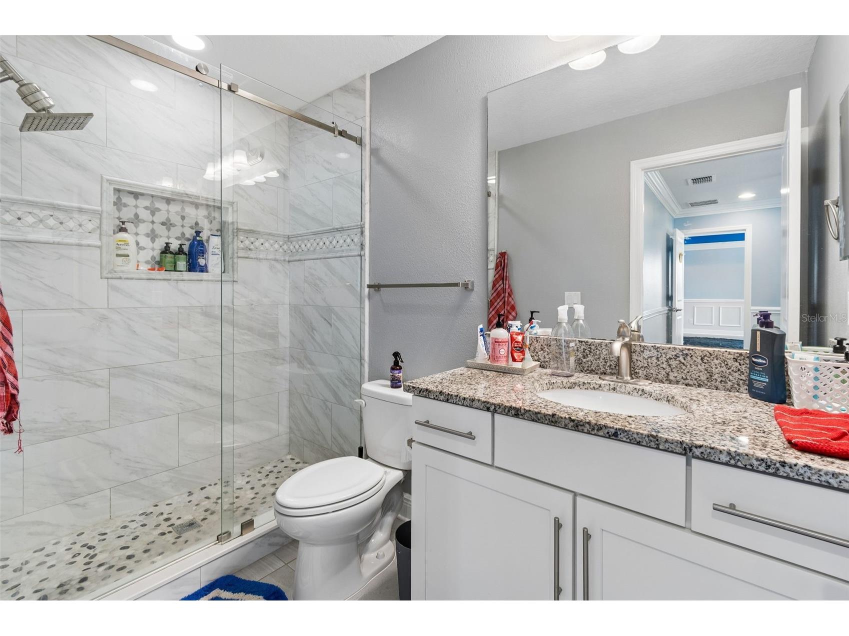 10316 Clover Pine Drive Tampa FL 33647 TB8494244 image40
