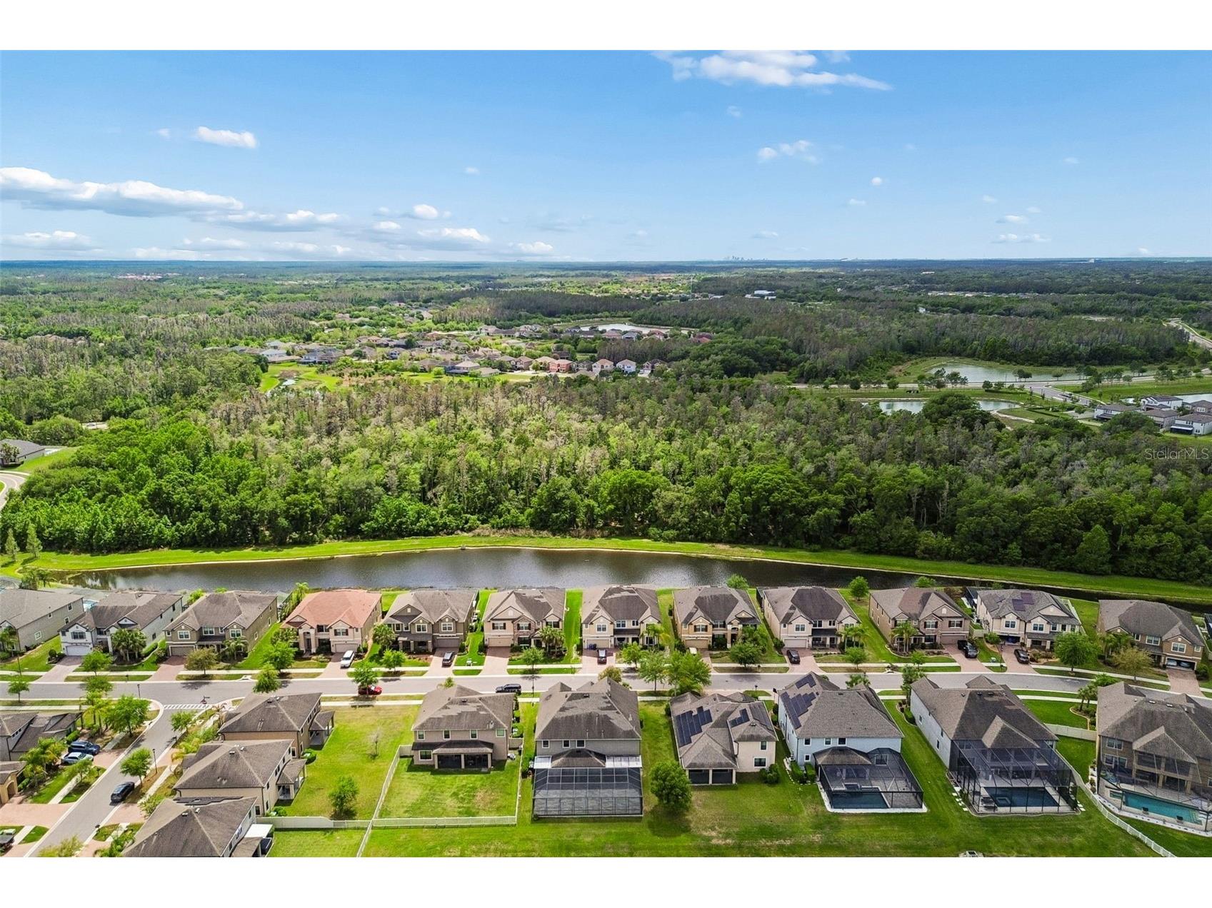 10316 Clover Pine Drive Tampa FL 33647 TB8494244 image78