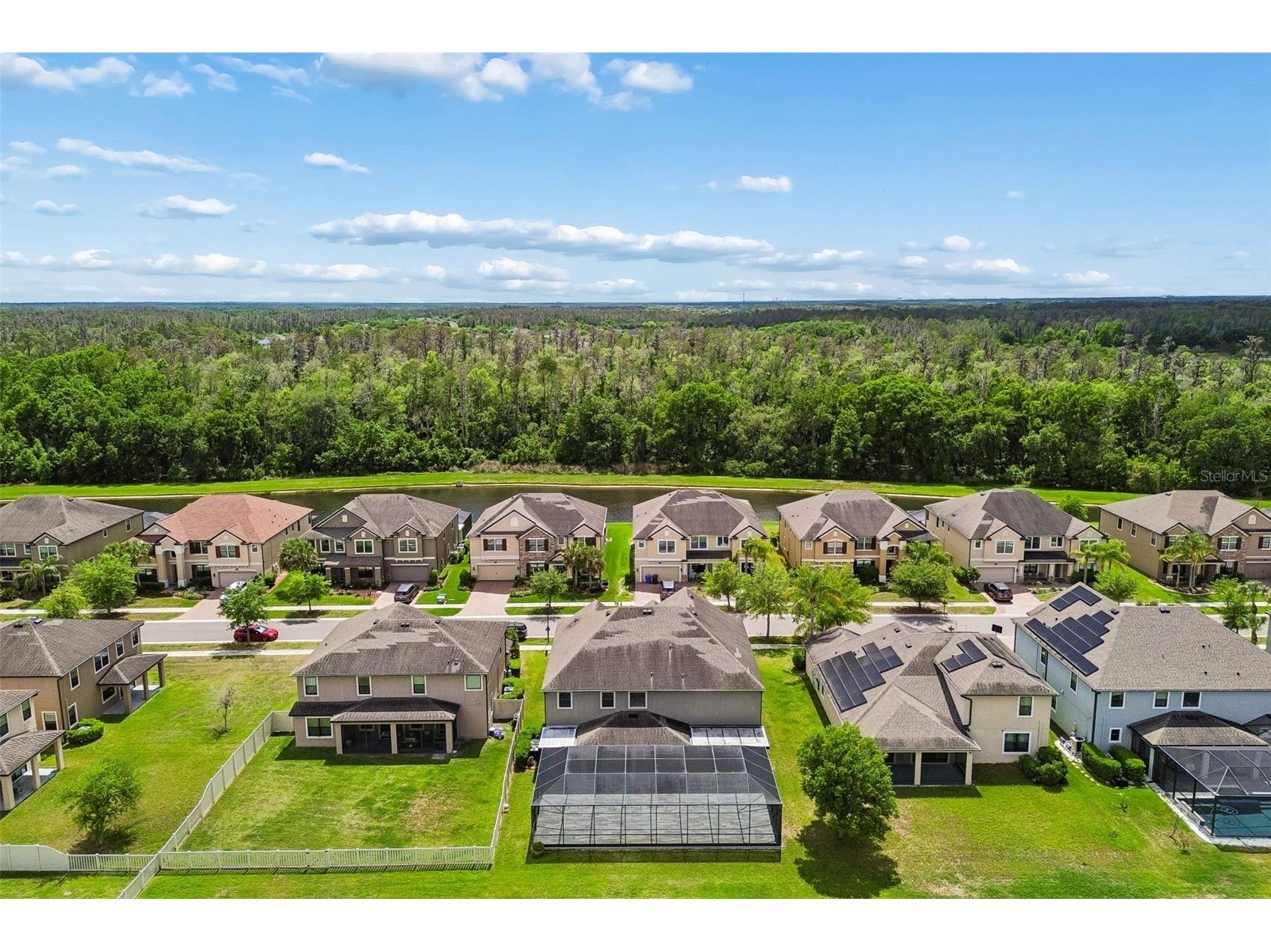 10316 Clover Pine Drive Tampa FL 33647 TB8494244 image80