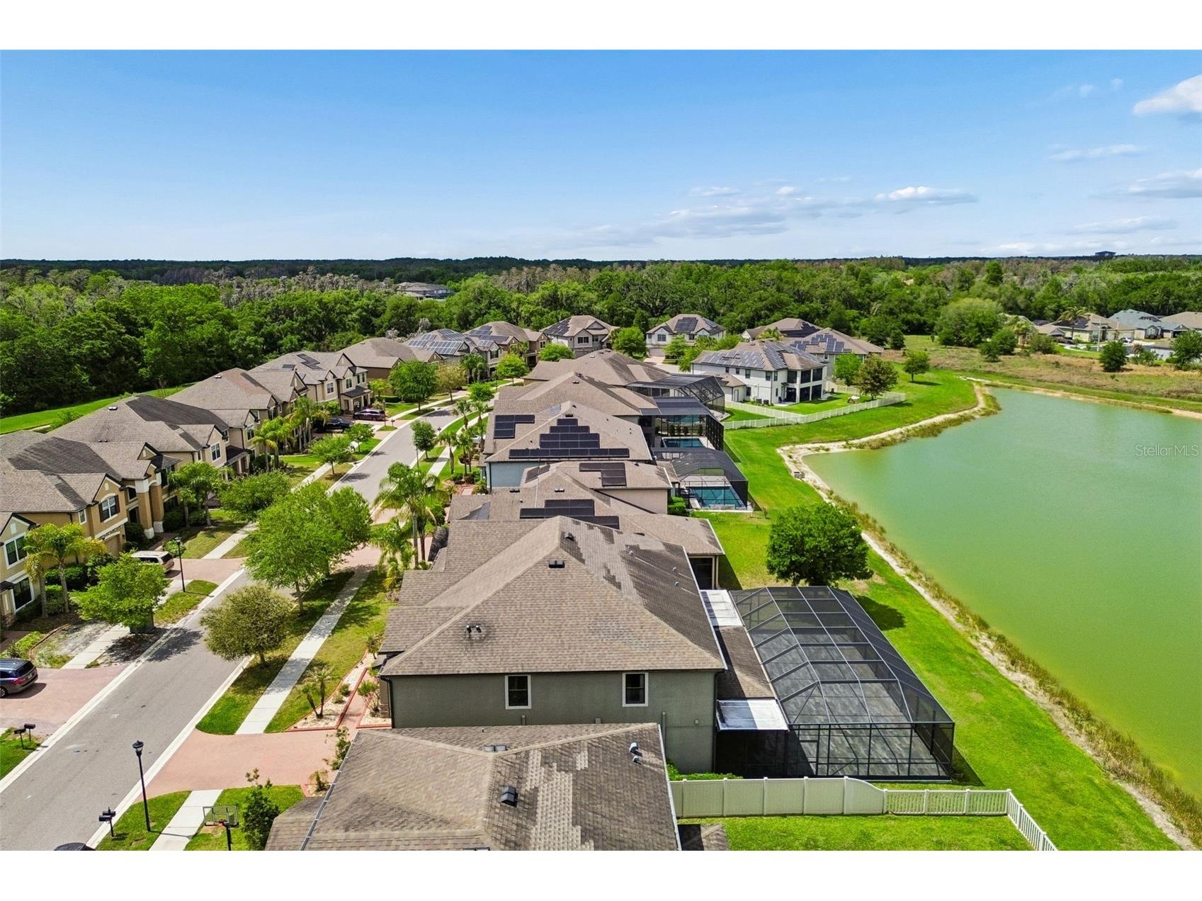 10316 Clover Pine Drive Tampa FL 33647 TB8494244 image84