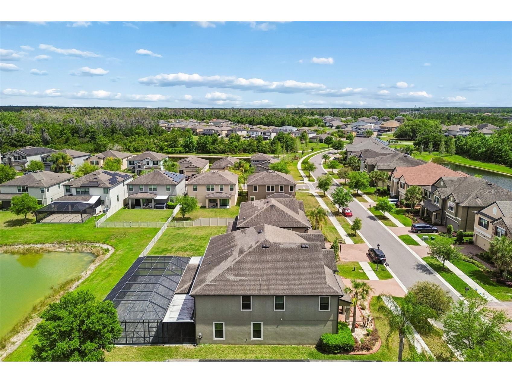 10316 Clover Pine Drive Tampa FL 33647 TB8494244 image85