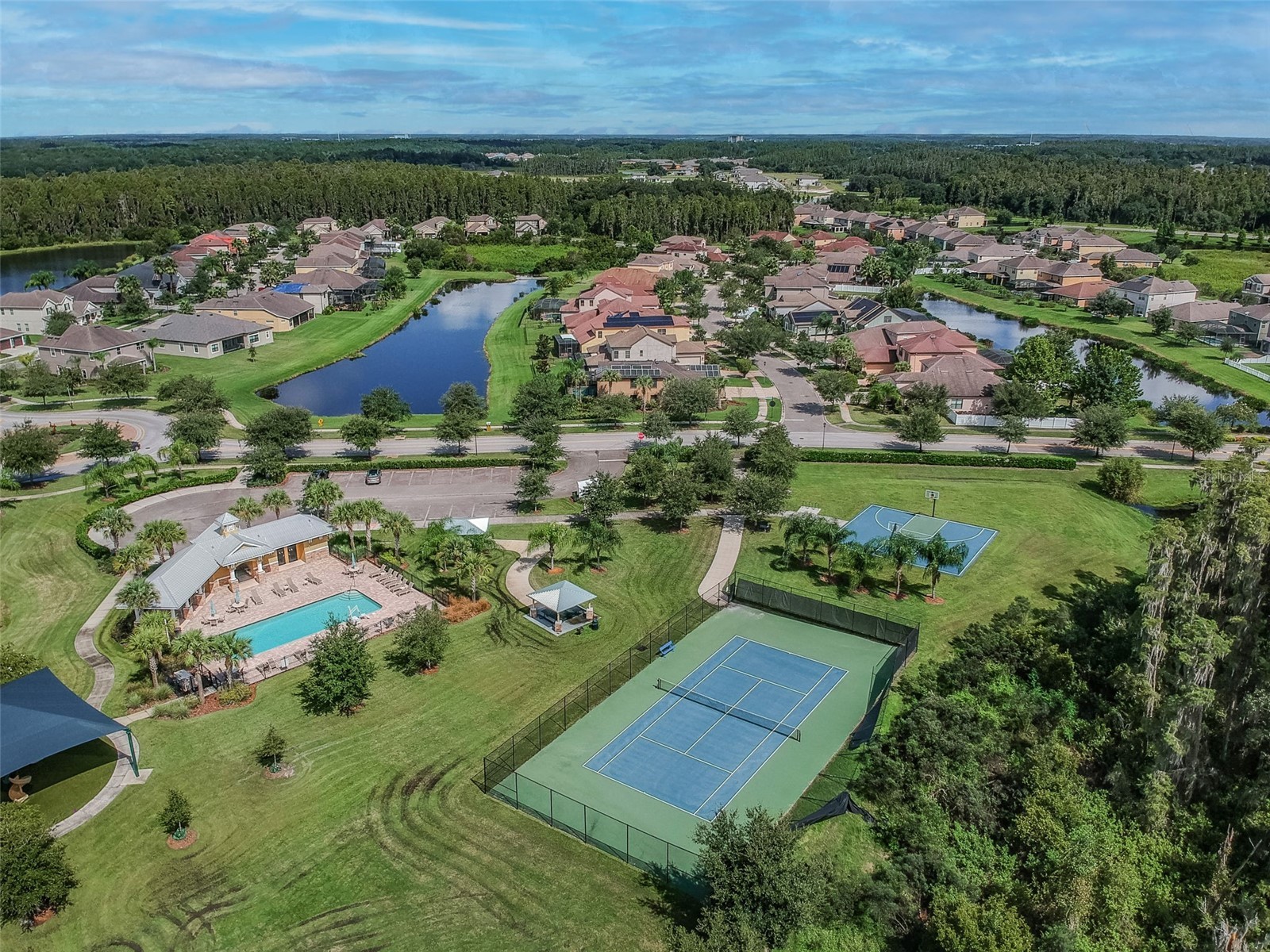 10316 Clover Pine Drive Tampa FL 33647 TB8494244 image91