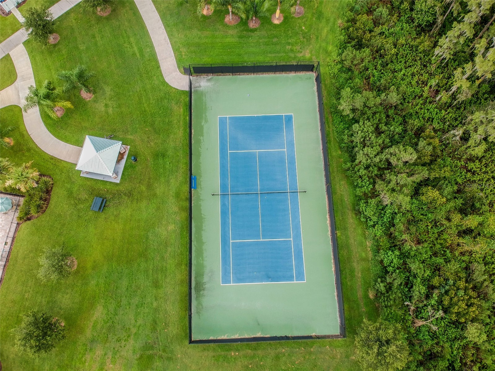 10316 Clover Pine Drive Tampa FL 33647 TB8494244 image93