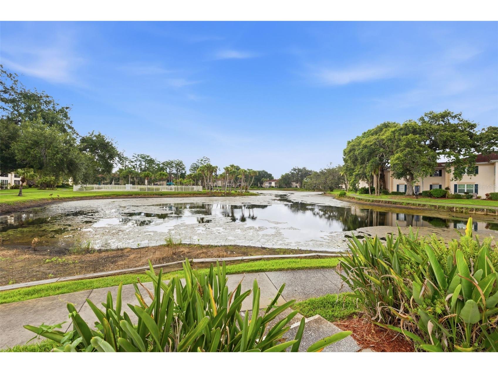 10316 Club Circle #41 Tampa FL 33618 TB8522904 image23