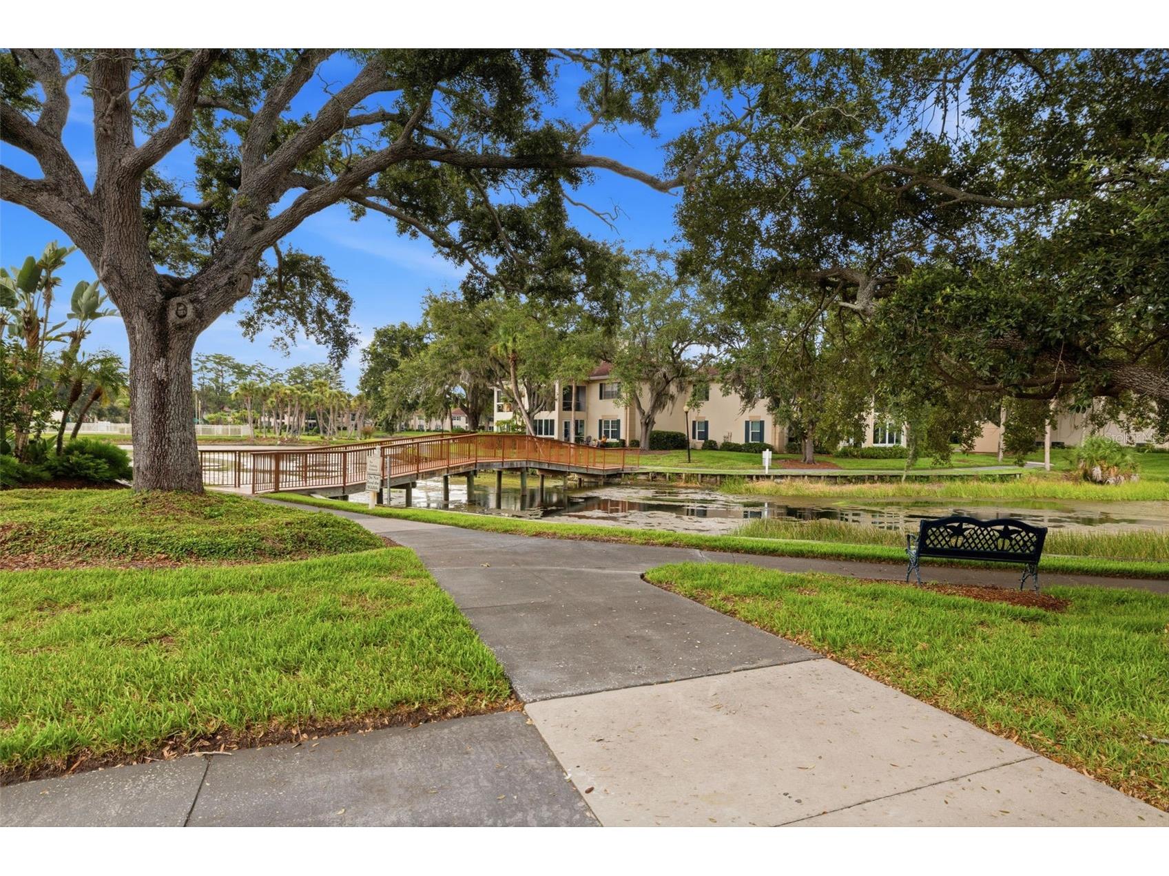 10316 Club Circle #41 Tampa FL 33618 TB8522904 image25