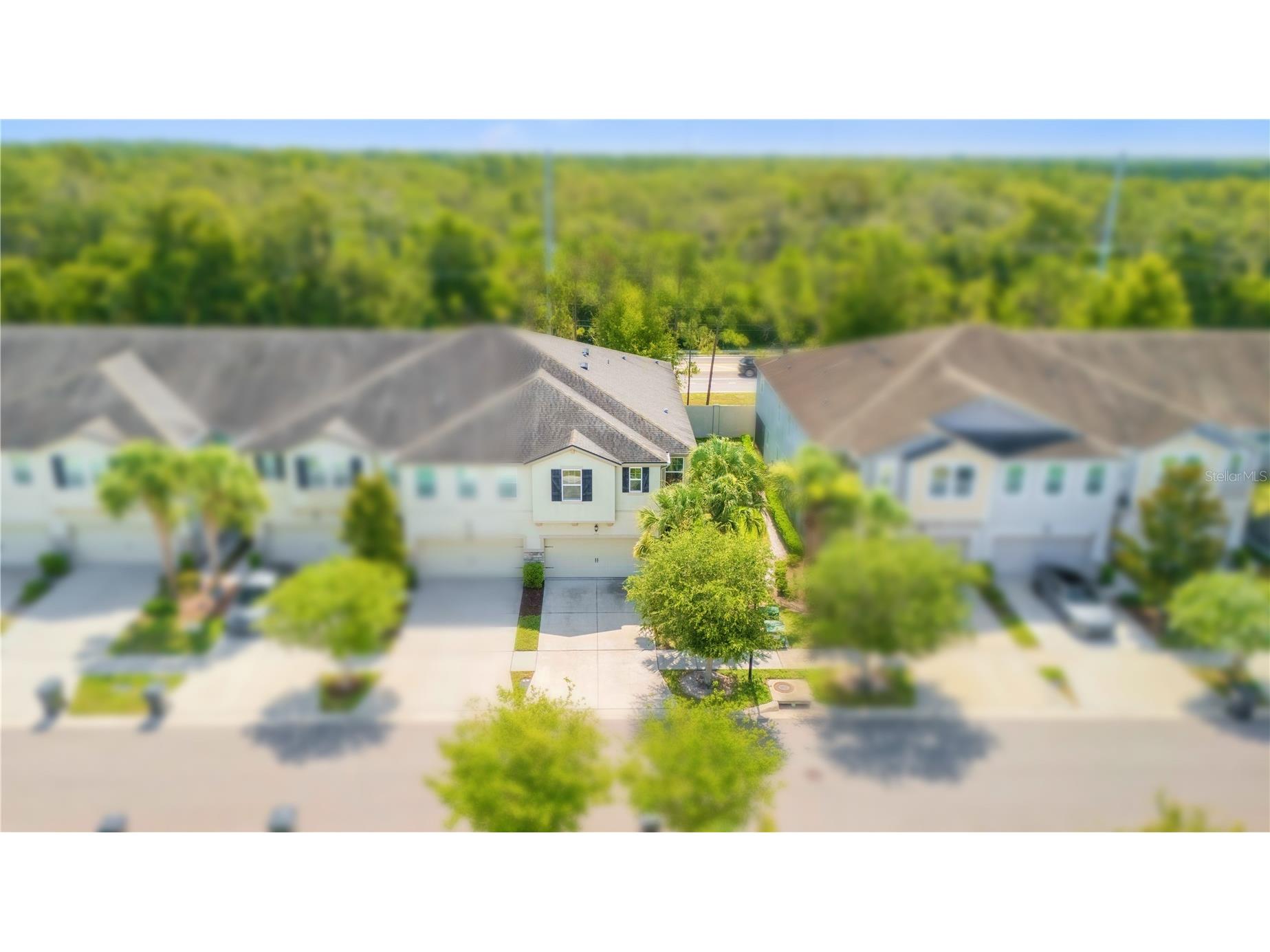 10316 Holstein Edge Place Riverview FL 33569 TB8523928 image3