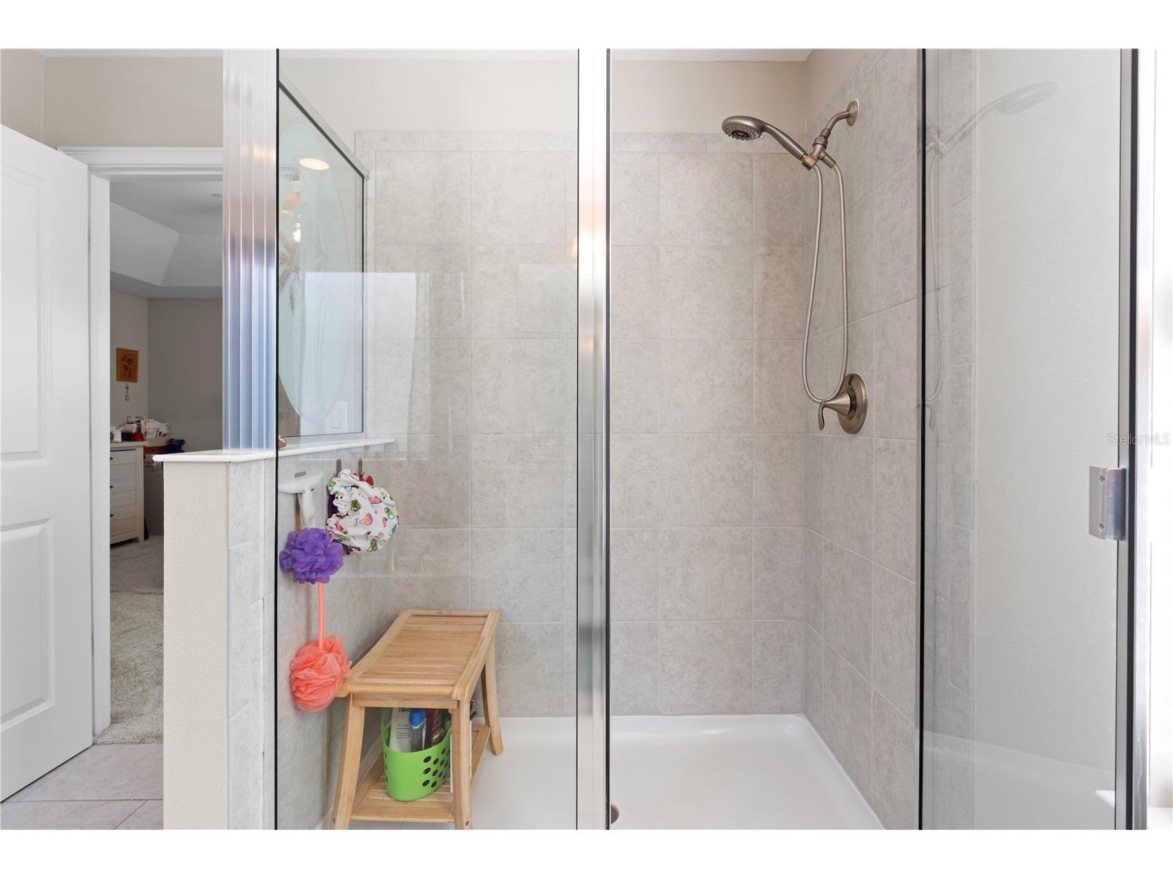 10316 Holstein Edge Place Riverview FL 33569 TB8523928 image34