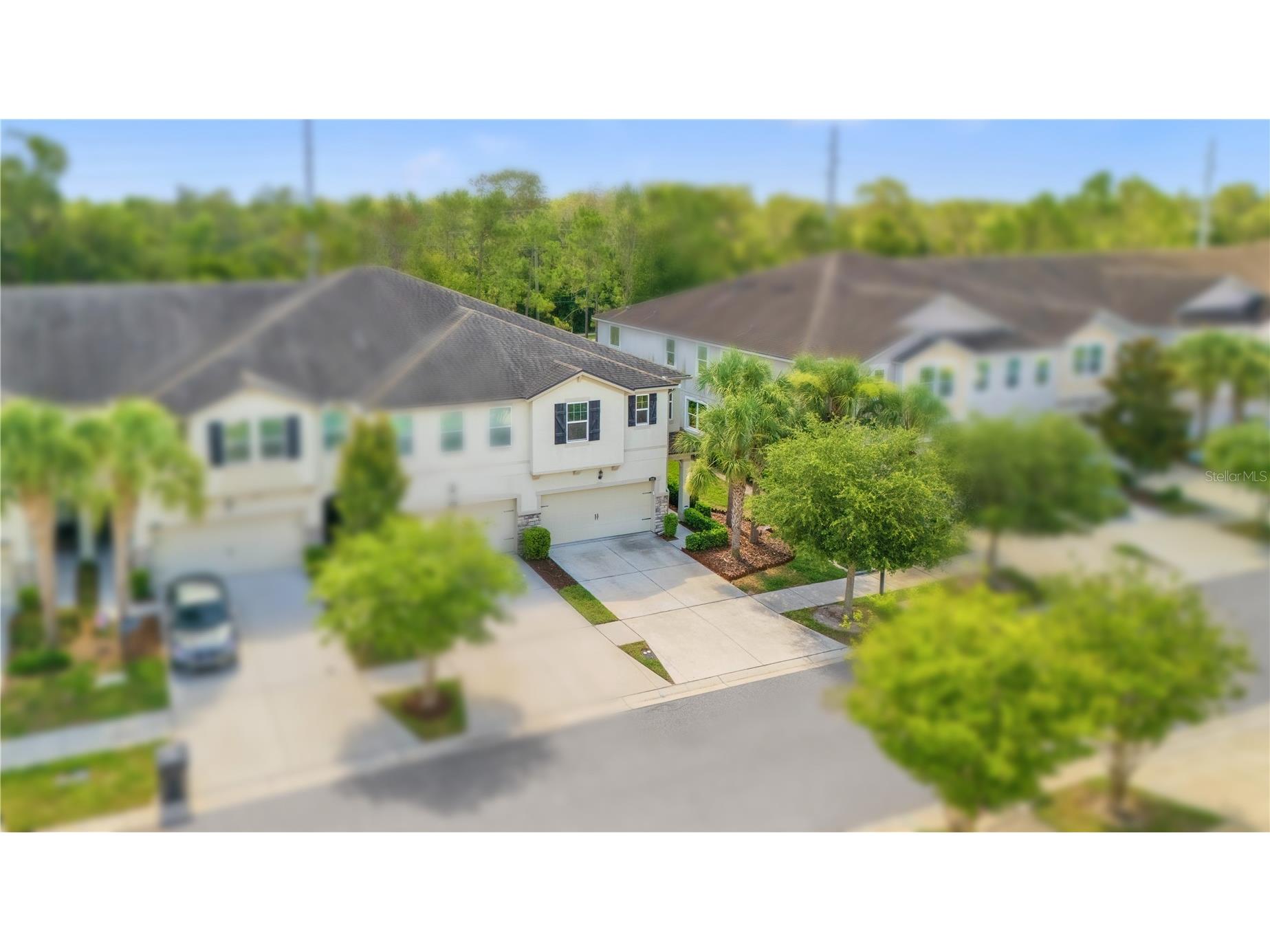 10316 Holstein Edge Place Riverview FL 33569 TB8523928 image4