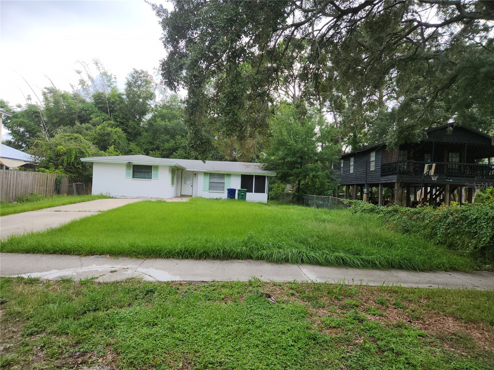 10316 N Myrtle Street Tampa FL 33617 TB8528442 image1