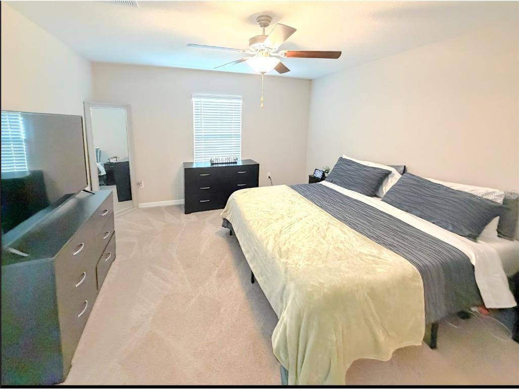 10316 Shady Preserve Drive Riverview FL 33578 TB8455301 image10