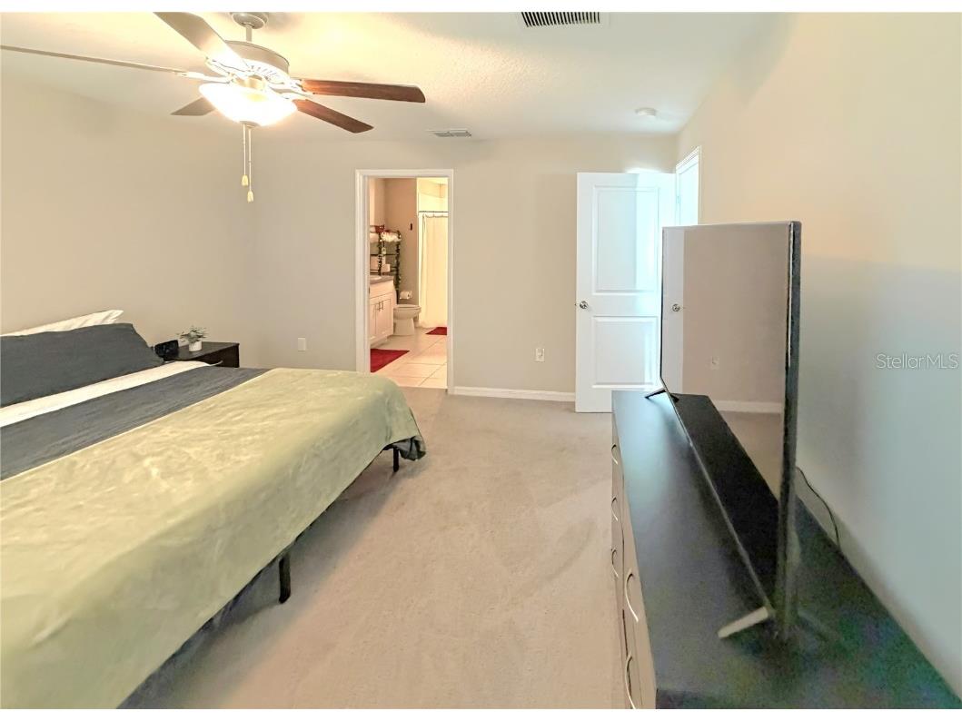 10316 Shady Preserve Drive Riverview FL 33578 TB8455301 image11