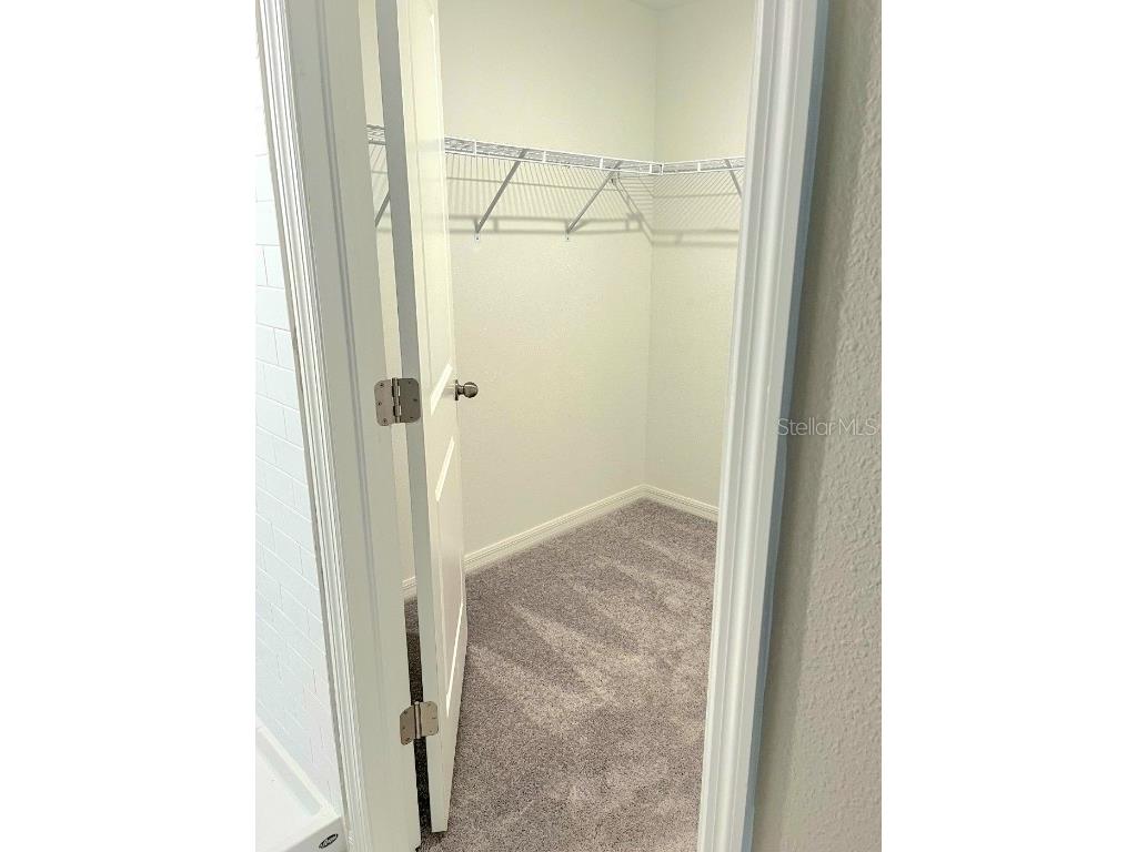 10316 Shady Preserve Drive Riverview FL 33578 TB8455301 image14