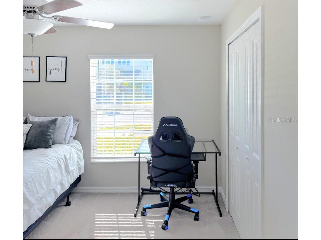 10316 Shady Preserve Drive Riverview FL 33578 TB8455301 image16