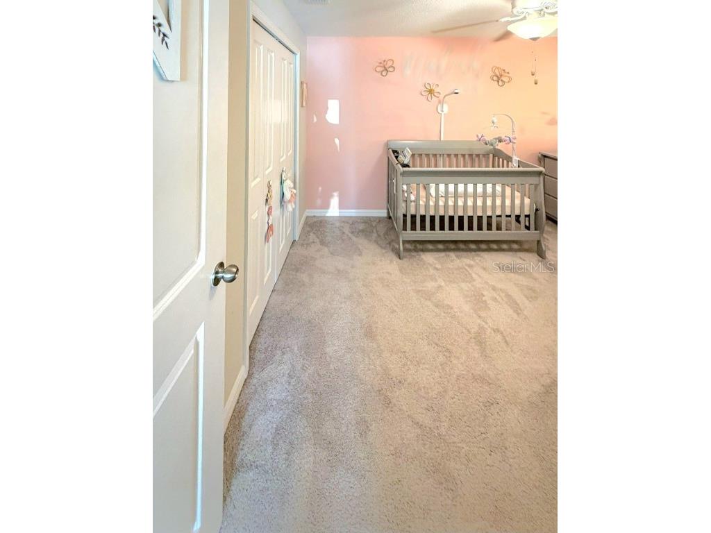 10316 Shady Preserve Drive Riverview FL 33578 TB8455301 image17