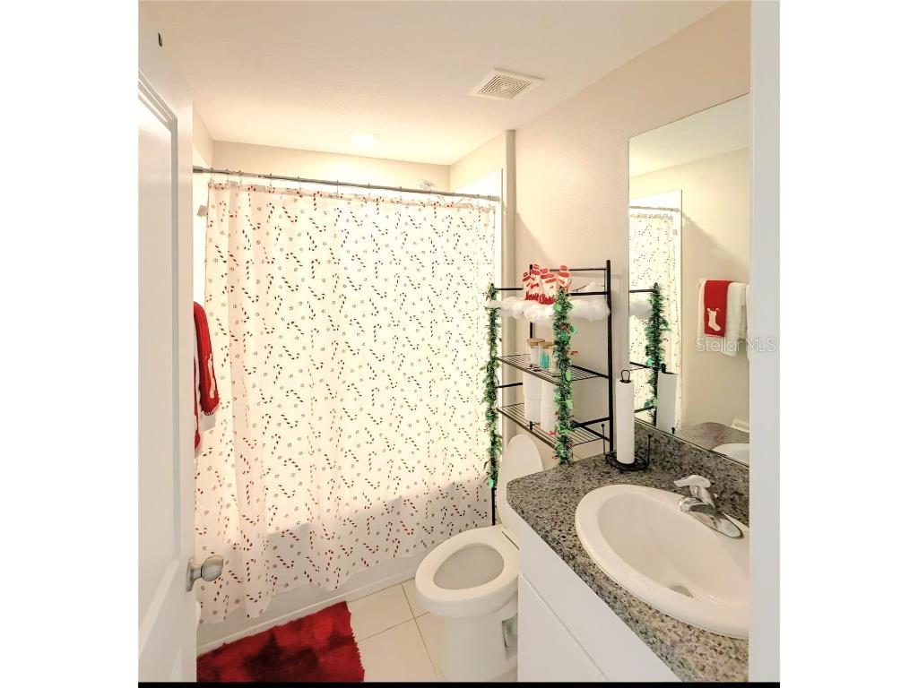 10316 Shady Preserve Drive Riverview FL 33578 TB8455301 image20