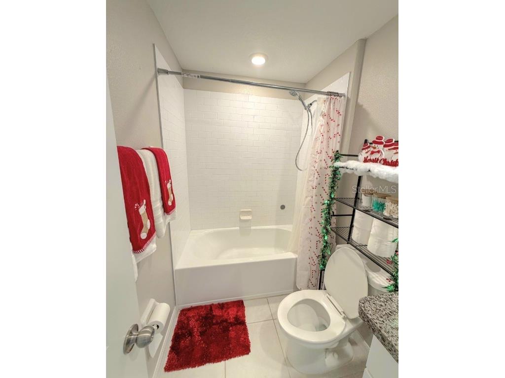 10316 Shady Preserve Drive Riverview FL 33578 TB8455301 image21