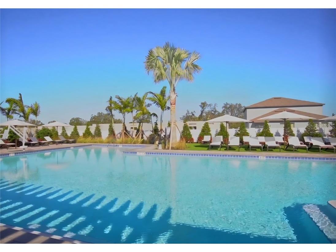 10316 Shady Preserve Drive Riverview FL 33578 TB8455301 image25