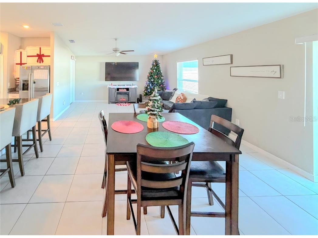 10316 Shady Preserve Drive Riverview FL 33578 TB8455301 image4