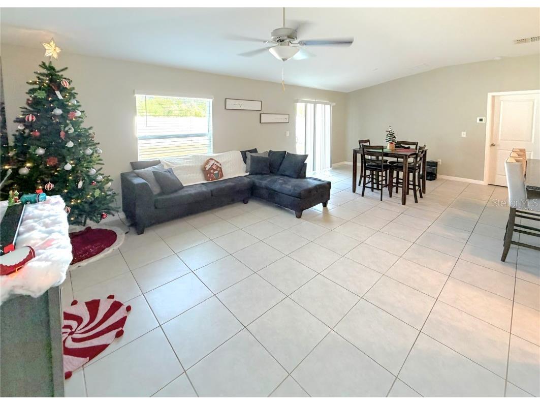 10316 Shady Preserve Drive Riverview FL 33578 TB8455301 image6
