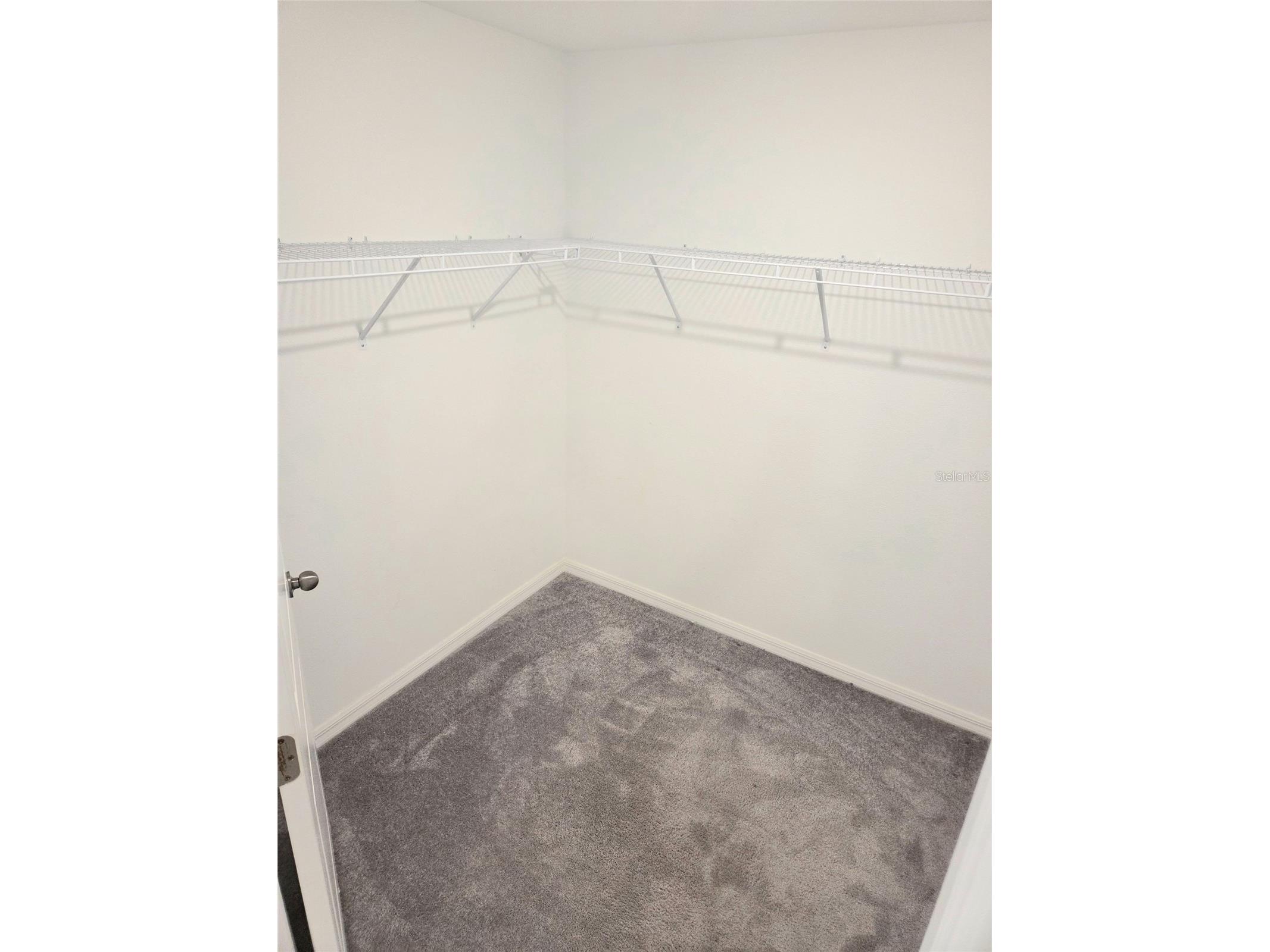10316 Shady Preserve Drive Riverview FL 33578 TB8510111 image15