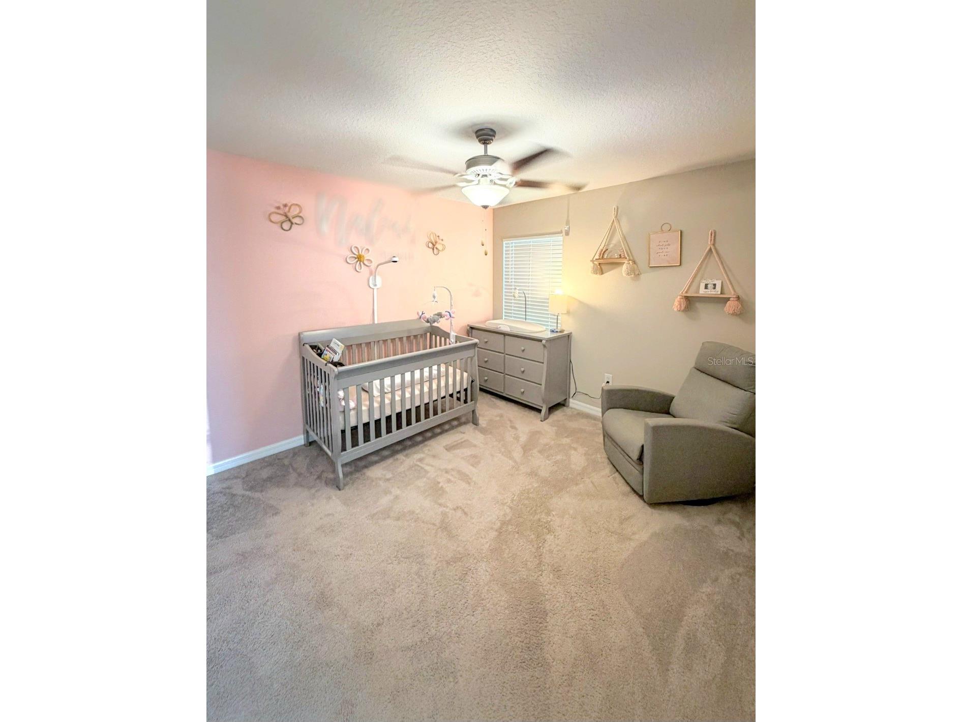 10316 Shady Preserve Drive Riverview FL 33578 TB8510111 image19