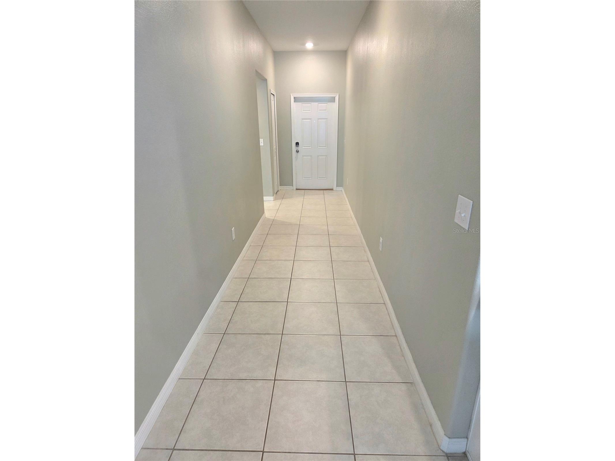 10316 Shady Preserve Drive Riverview FL 33578 TB8510111 image3