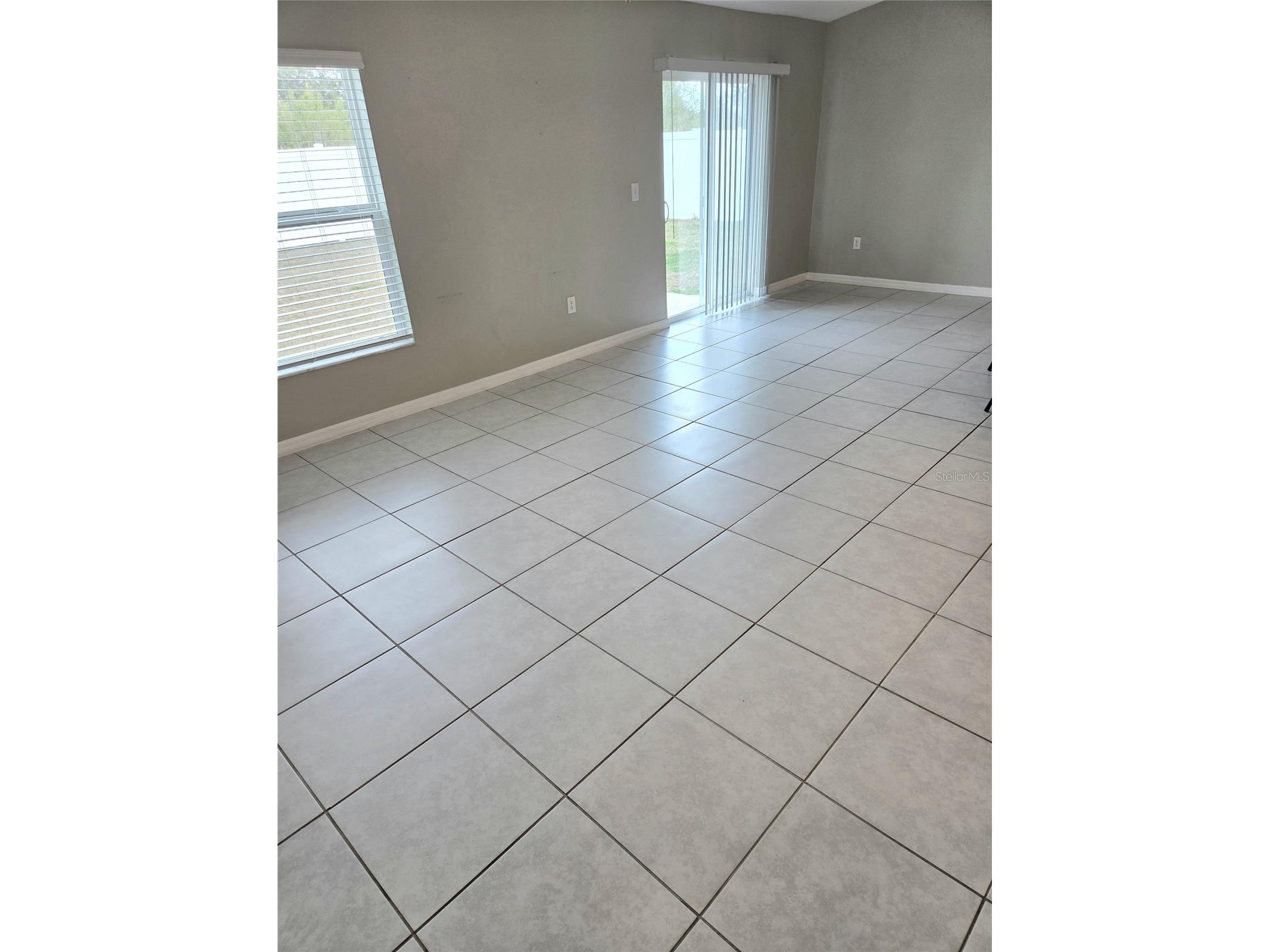 10316 Shady Preserve Drive Riverview FL 33578 TB8510111 image7
