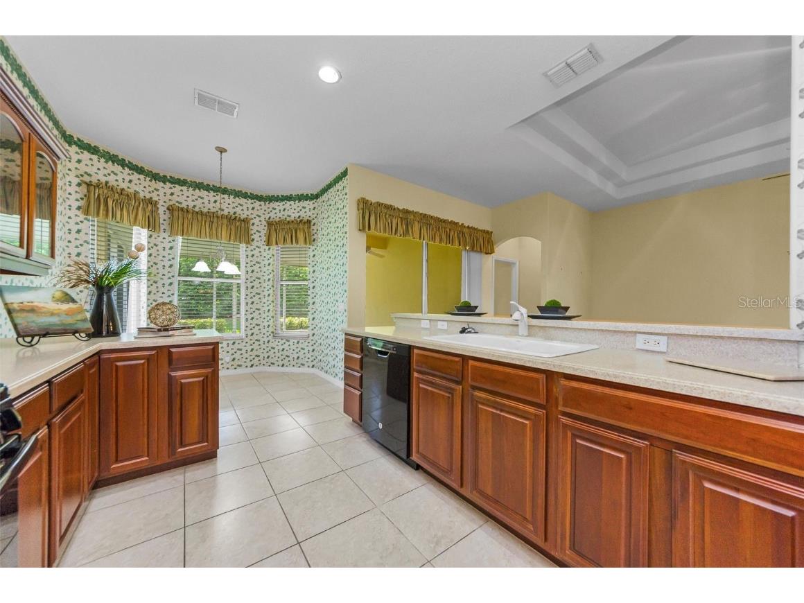 10316 Sorenstam Drive Trinity FL 34655 TB8434587 image15