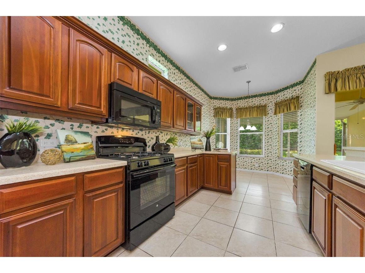 10316 Sorenstam Drive Trinity FL 34655 TB8434587 image16