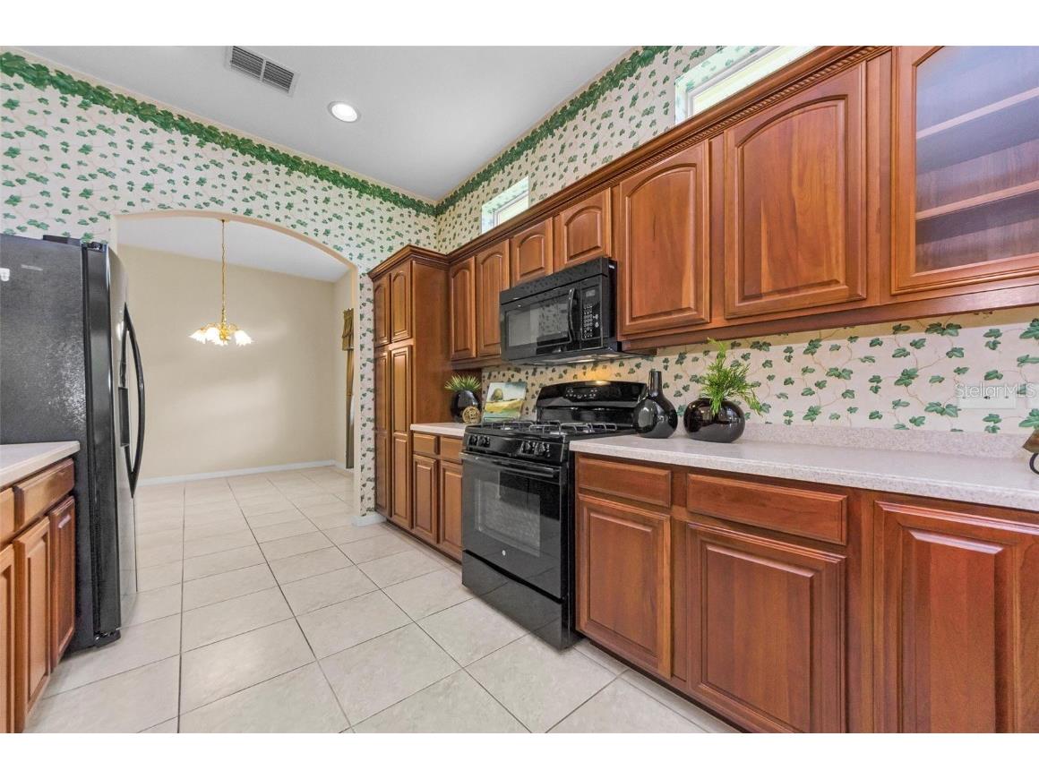 10316 Sorenstam Drive Trinity FL 34655 TB8434587 image17