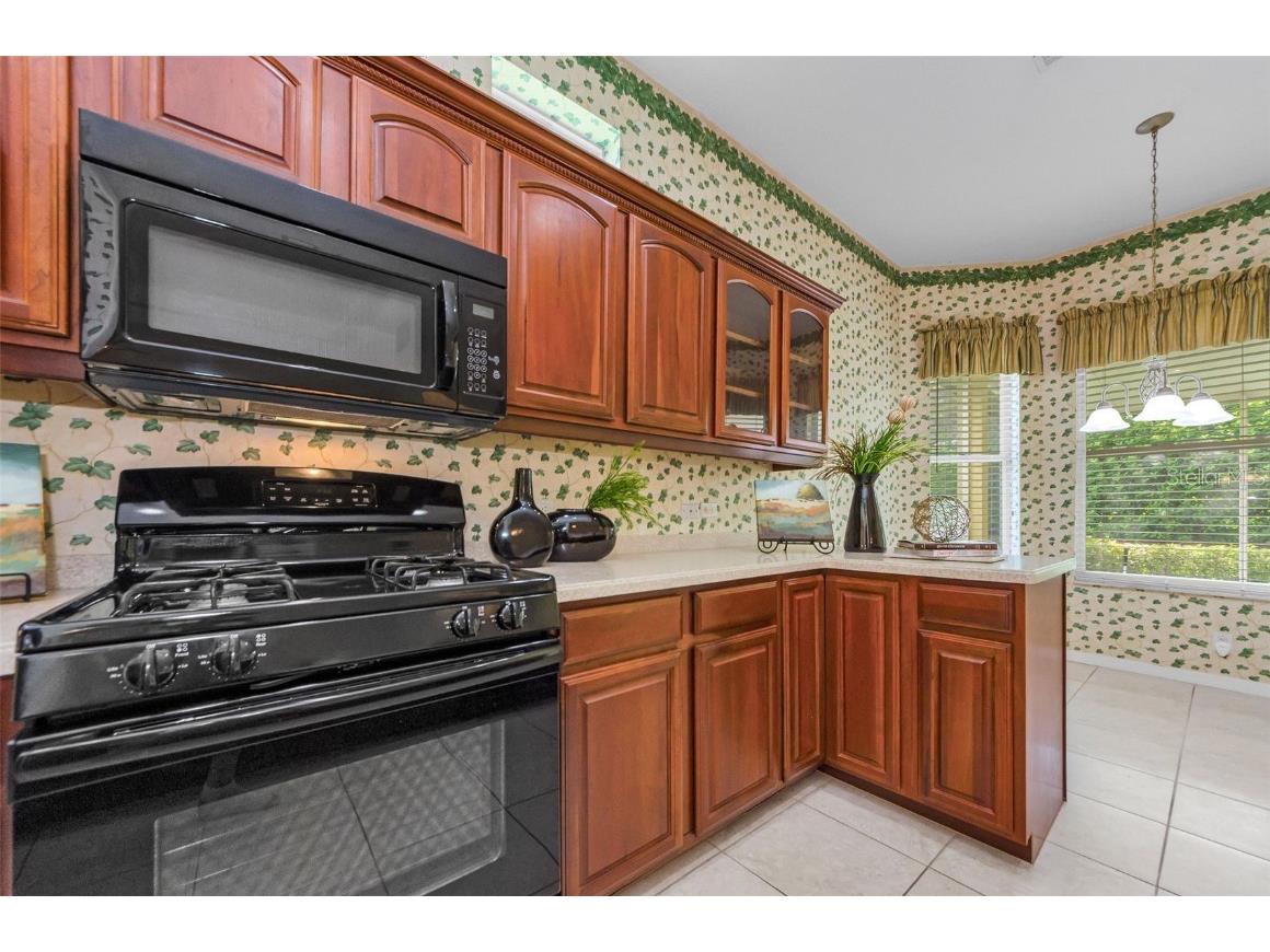 10316 Sorenstam Drive Trinity FL 34655 TB8434587 image19